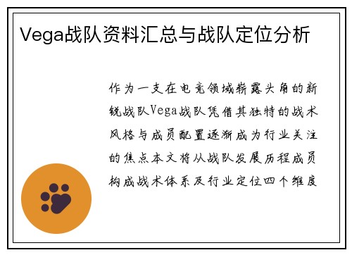 Vega战队资料汇总与战队定位分析