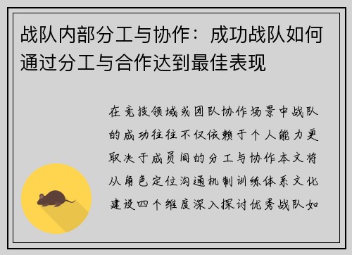 战队内部分工与协作：成功战队如何通过分工与合作达到最佳表现