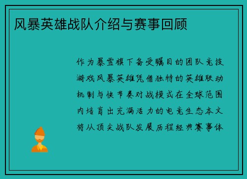 风暴英雄战队介绍与赛事回顾