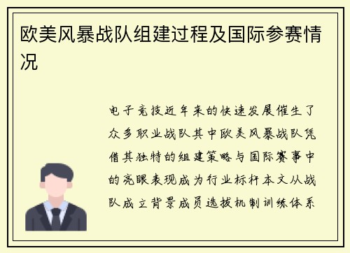 欧美风暴战队组建过程及国际参赛情况